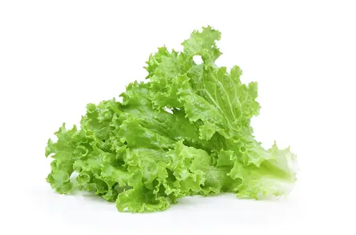 Salad (Sekeping)